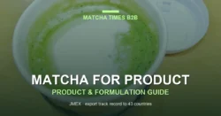 Wholesale Matcha for Cafés: Grade, MOQ, Cost per Cup & Supplier Guide