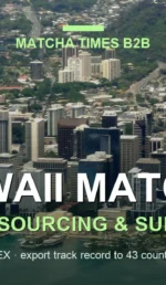 Hawaii Matcha Wholesale: Japanese Supplier, MOQ, Price & Delivery Guide