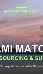 Matcha Wholesale Miami: Japanese Supply, MOQ, Price & Delivery Guide
