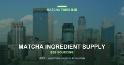Matcha Wholesale Minneapolis: Japanese Supply, MOQ, Price & Delivery Guide