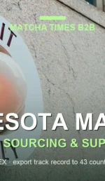 Minnesota Matcha Wholesale: Japanese Supplier, MOQ, Price & Delivery Guide