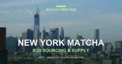 New York Matcha Wholesale: Japanese Supplier, MOQ, Price & Delivery Guide