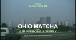Ohio Matcha Wholesale: Japanese Supplier, MOQ, Price & Delivery Guide