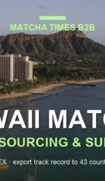 Matcha Wholesale Price in Hawaii: 2026 Landed Cost, MOQ & Delivery Guide