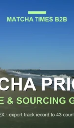 Matcha Wholesale Price in Virginia: 2026 Landed Cost, MOQ & Delivery Guide
