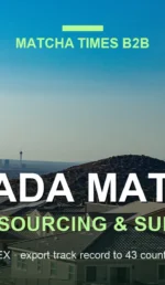 Matcha Wholesale Price in Nevada: 2026 Landed Cost, MOQ & Delivery Guide