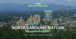 Matcha Wholesale Price in North Carolina: 2026 Landed Cost, MOQ & Delivery Guide
