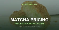 Japanese matcha powder — wholesale price and sourcing