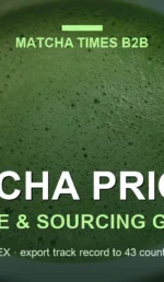 Matcha Wholesale Price in Saudi Arabia: 2026 Landed Cost, Duty & MOQ Guide