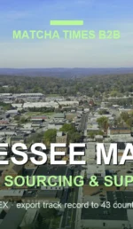 Matcha Wholesale Price in Tennessee: 2026 Landed Cost, MOQ & Delivery Guide