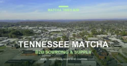 Matcha Wholesale Price in Tennessee: 2026 Landed Cost, MOQ & Delivery Guide
