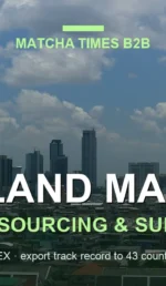 Matcha Wholesale Price in Thailand