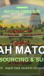 Matcha Wholesale Price in Utah: 2026 Landed Cost, MOQ & Delivery Guide