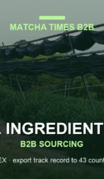 Matcha Wholesale Raleigh: Japanese Supply, MOQ, Price & Delivery Guide