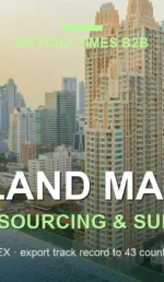 Matcha Wholesale Thailand