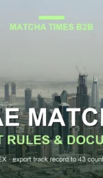 Matcha Wholesale UAE: Japanese Supplier, MOQ, Price & Import Guide