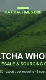 Matcha Wholesale USA: Japanese Supplier, MOQ, Price & Import Guide