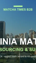 Virginia Matcha Wholesale: Japanese Supplier, MOQ, Price & Delivery Guide