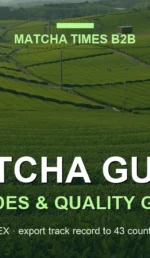 japanese matcha tea plantation