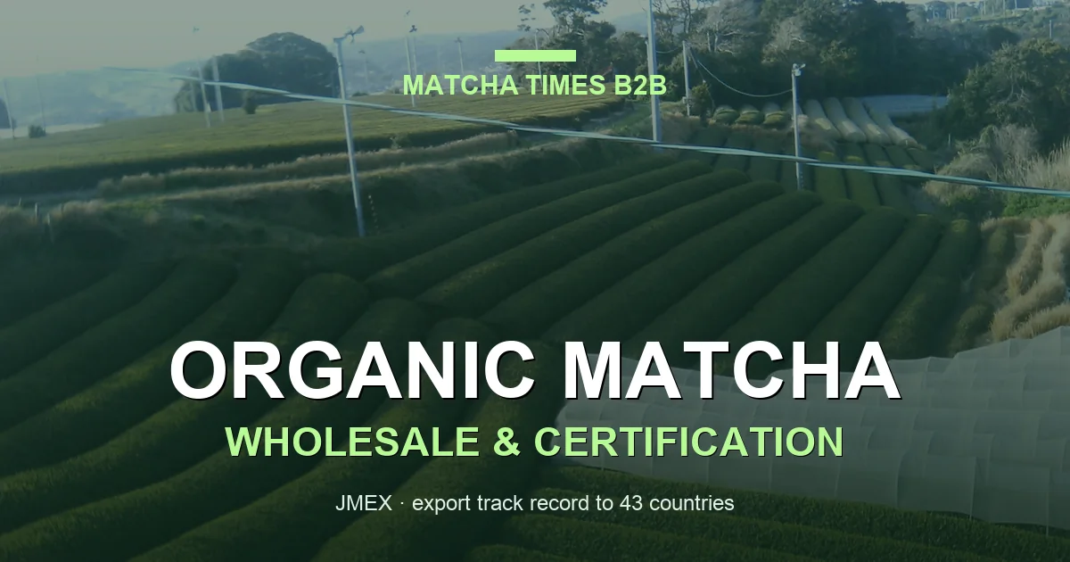 Japanese green tea plantation — organic matcha wholesale