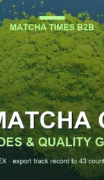 Pennsylvania Matcha Market 2026: Cafe Growth, Consumer Trends & B2B Opportunities