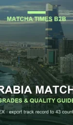Saudi Arabia Matcha Market 2026: Demand, Café Trends, Imports & B2B Opportunities