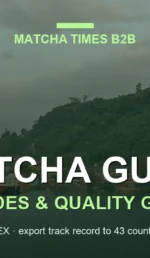 Shizuoka Matcha Wholesale: Flavor, Color, Pricing & B2B Applications