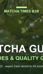 Uji vs Kagoshima Matcha: Which Origin Fits Cafés, Retail & Manufacturing?