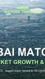50 Dubai Matcha Menus Analyzed: Prices, Flavors, Positioning