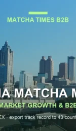 Georgia Matcha Market 2026: Cafe Growth, Consumer Trends & B2B Opportunities