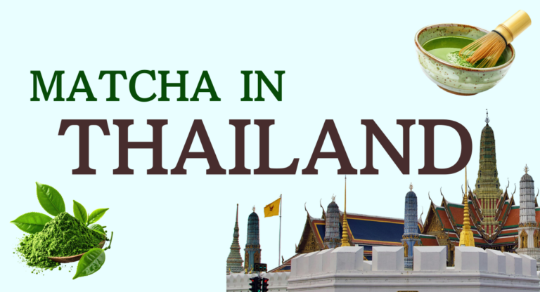 Matcha in Thailand: Cafe Culture & Health Trends Fuel Market Expansion