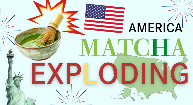 US Matcha Market 2025: Size, Growth Drivers & B2B Entry Strategy for Buyers